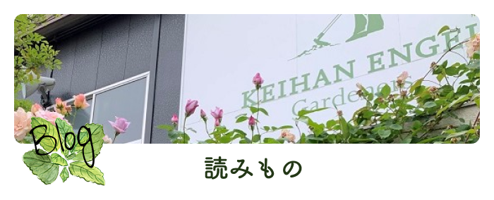 バラと庭あそびブログ