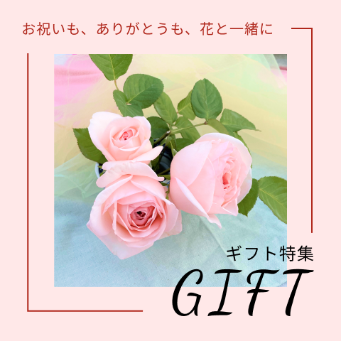ギフト特集バナー。淡いピンクのバラの花束と「お祝いも、ありがとうも、花と一緒に」のメッセージ入り