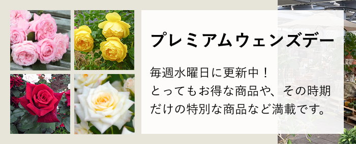 プレミアムウェンズデー。リアル店舗の商品をECサイトで数量限定しております。とってもお得な商品や、その時期だけの特別な商品など満載です。