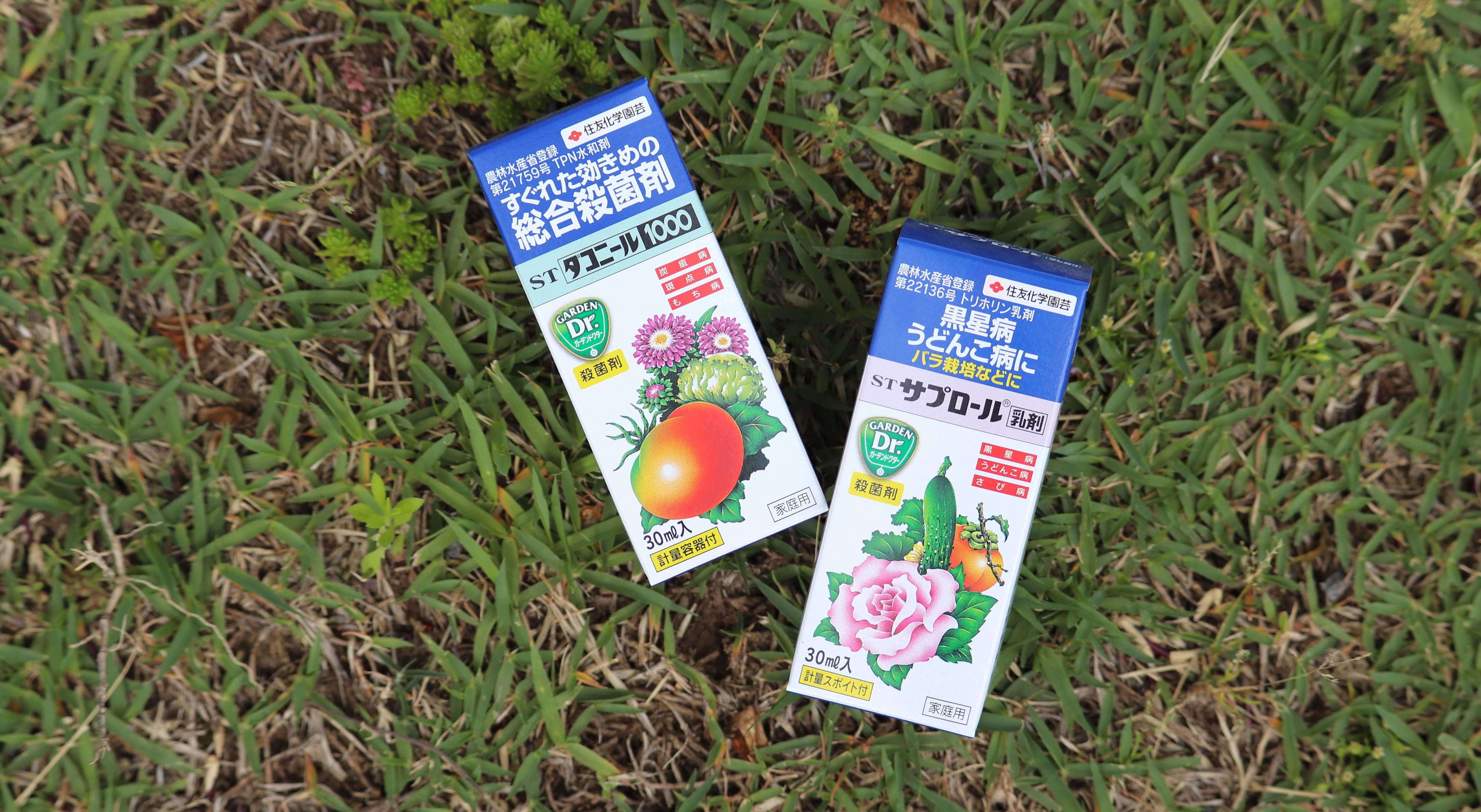 バラの芽生えに必殺薬！ダコサプセット｜バラと庭あそび京阪園芸公式