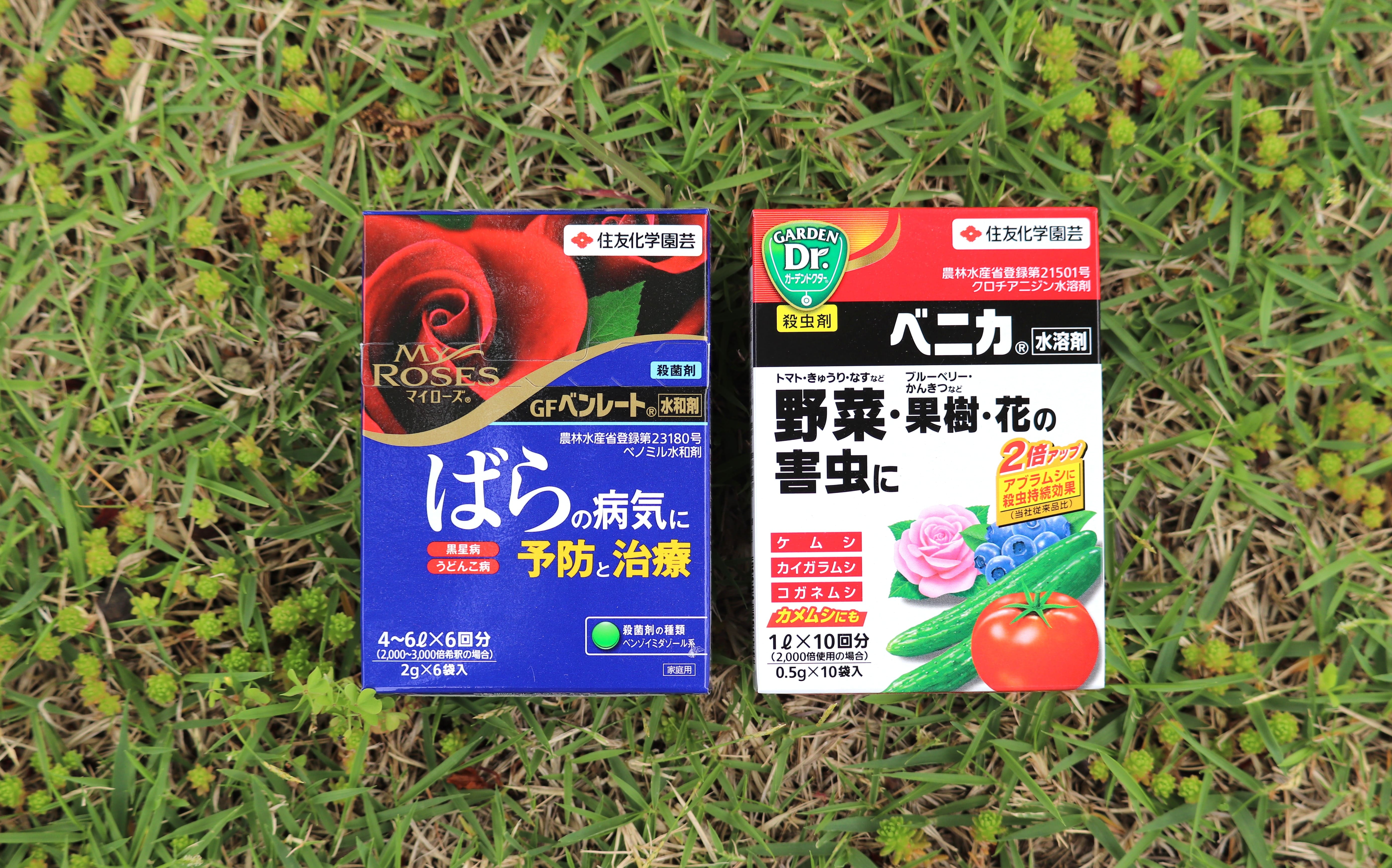  *バラ売り可* 血清の粉末　 バラの芽生えに必殺薬！ダコサプセット｜バラと庭あそび京阪園芸公式 DST日本語foil3枚セット マジック：ザ・ギャザリング
