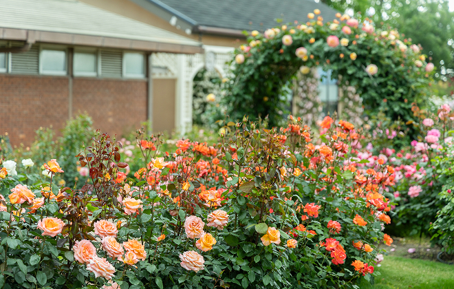 滋賀県大津市・びわ湖大津館「イングリッシュガーデン」改修・管理開始