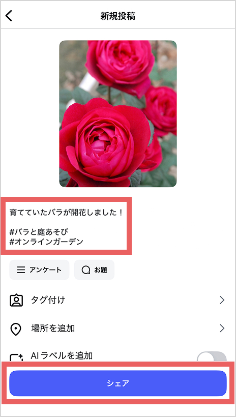 ⑤入力ができたら、内容に間違いがないか確認し「シェア」を押して投稿してください。