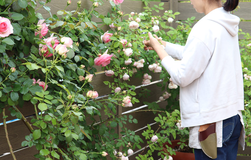 結婚した友人に
