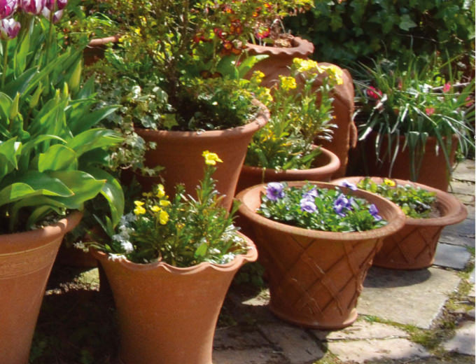 庭がもっと好きになる、ウィッチフォードのある暮らし