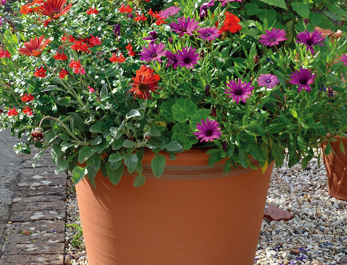 庭がもっと好きになる、ウィッチフォードのある暮らし