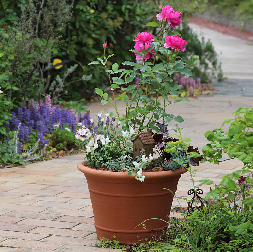 一生モノの鉢と出会う、英国の名窯ウィッチフォード