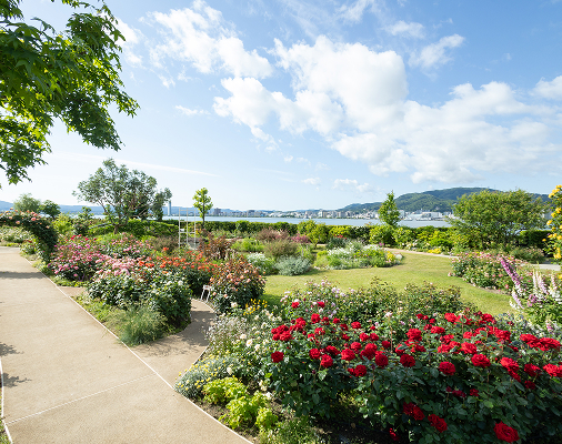薔薇のある風景