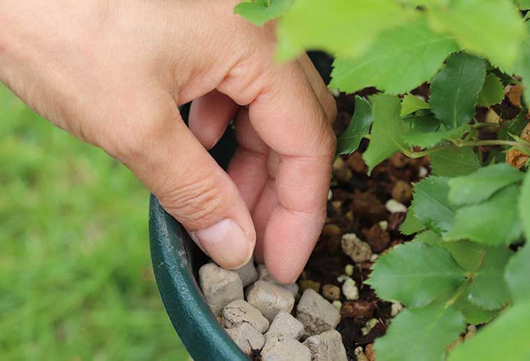 いつ変化が出るんだろう？