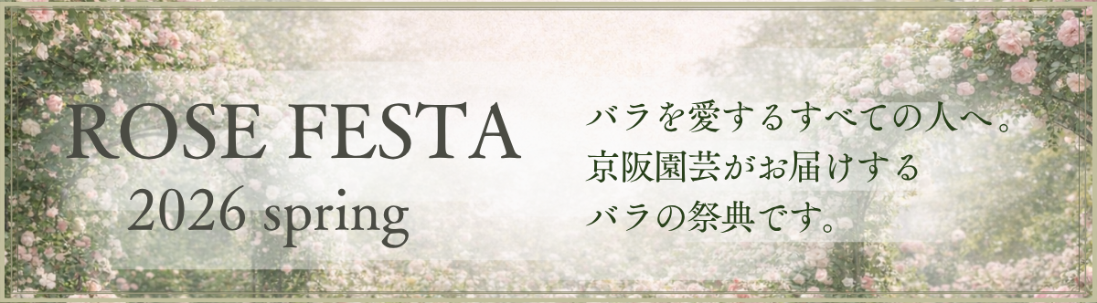 ローズフェスタ2026のバナー