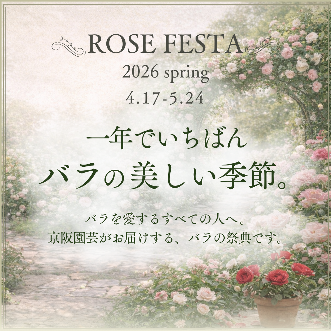 ローズフェスタ2026のバナー