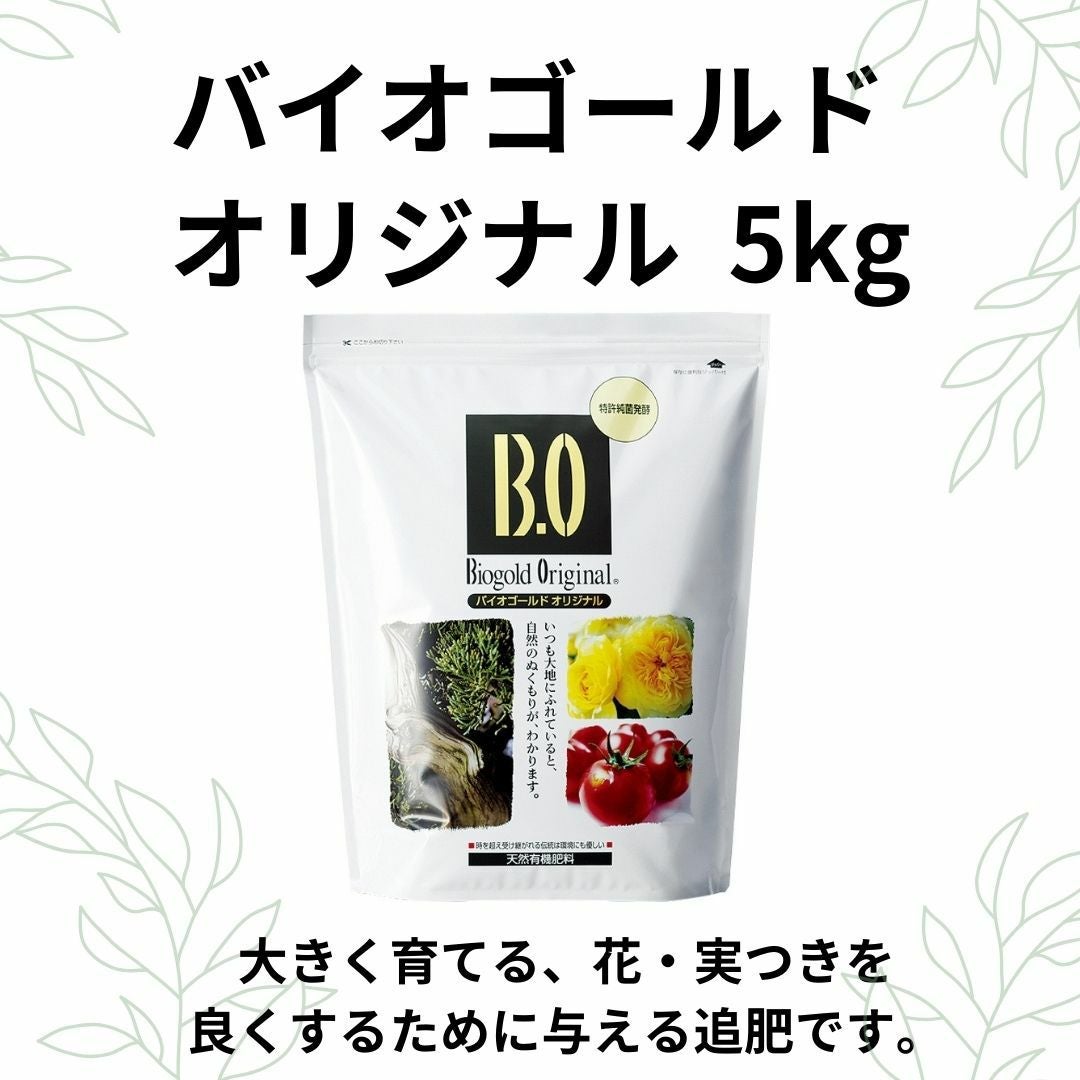 園芸養土・薬品 BIG BUD Fertilizante Big Bud Advanced Nutrients para aumento de florada e