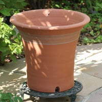 バラのために作られたウィッチフォードの植木鉢の写真