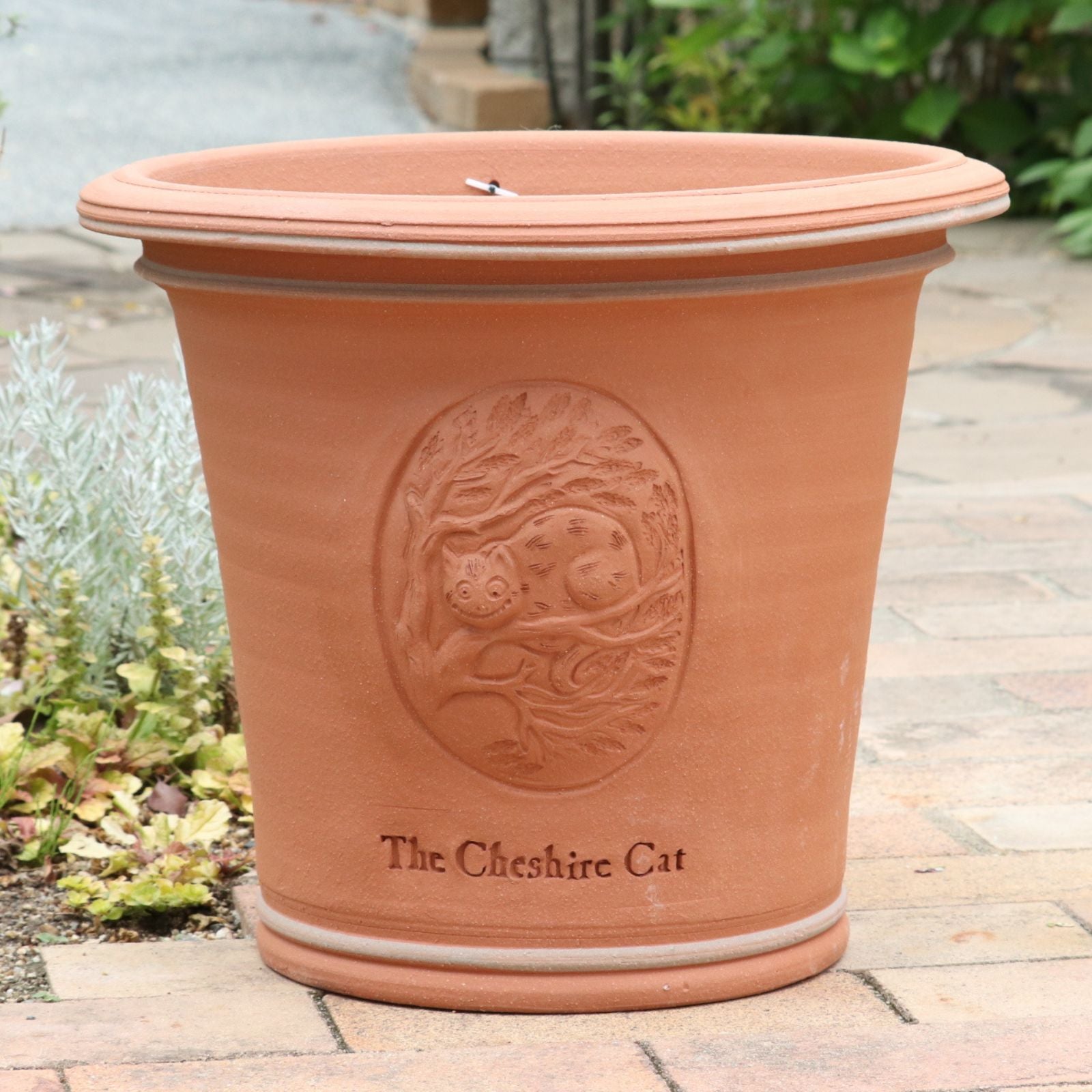 ウィッチフォード1421 TALLFLAREDBASKETFLOWERPOT | バラと庭あそび