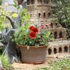 ウィッチフォードの植木鉢に花を植えこんだ写真