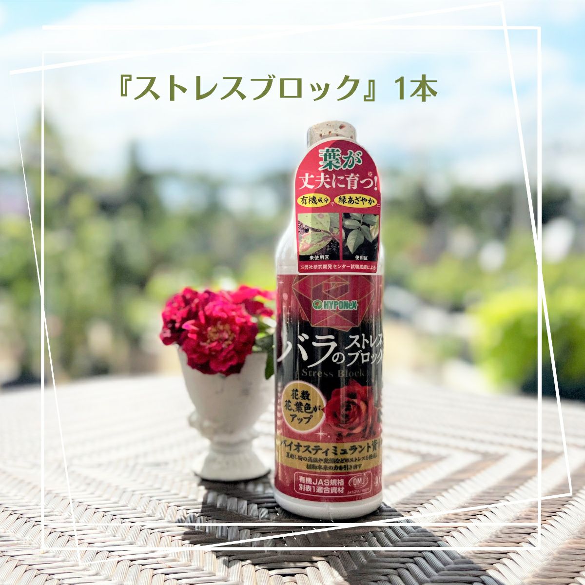 BTS 紅梅シリーズ 【⚠️バラ売り不可】 Tokyo is not the same without a camera 📸 #FR2梅 exclusive. #FR2梅