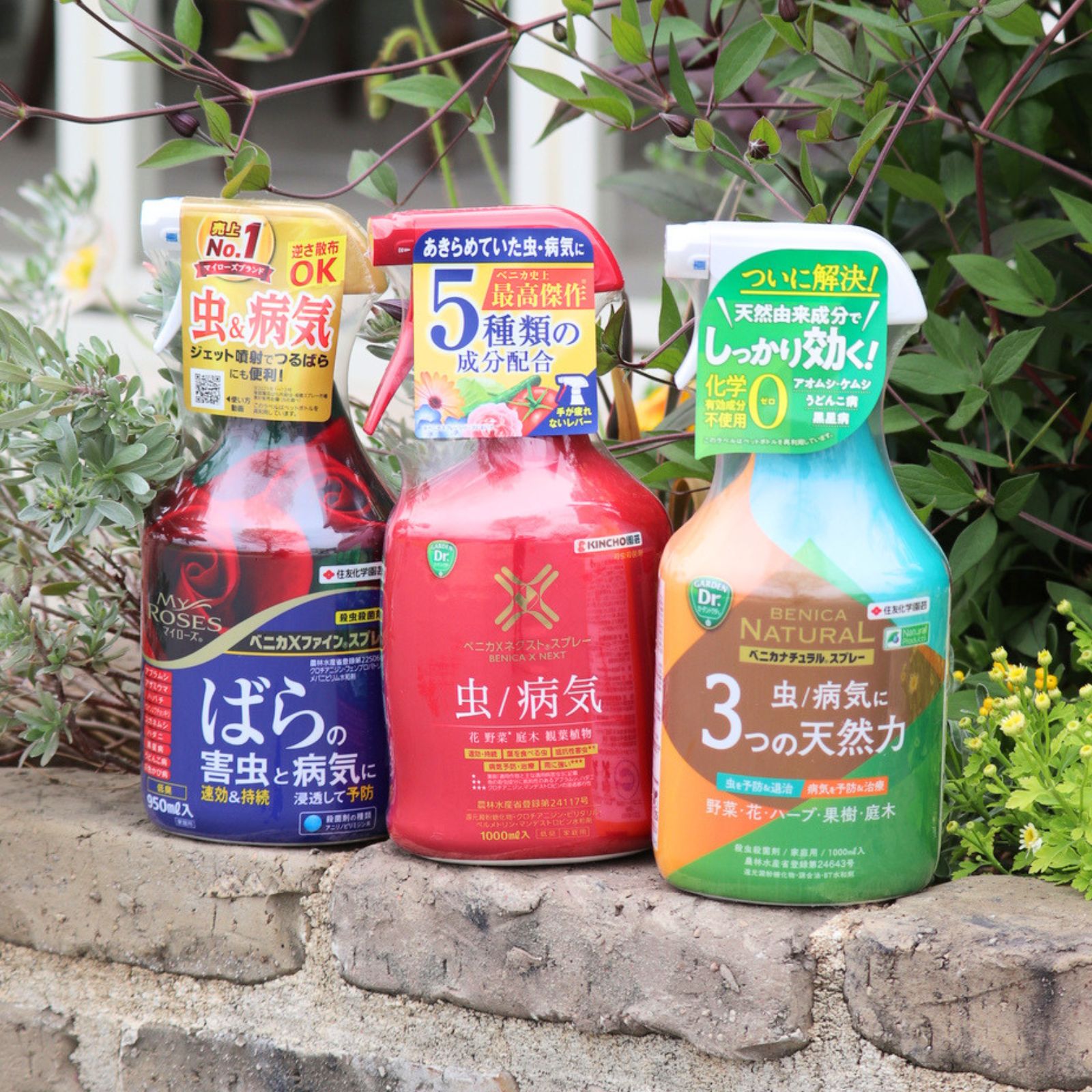 バラのストレスブロック400ml ブリリアントガーデン｜バラと庭あそび