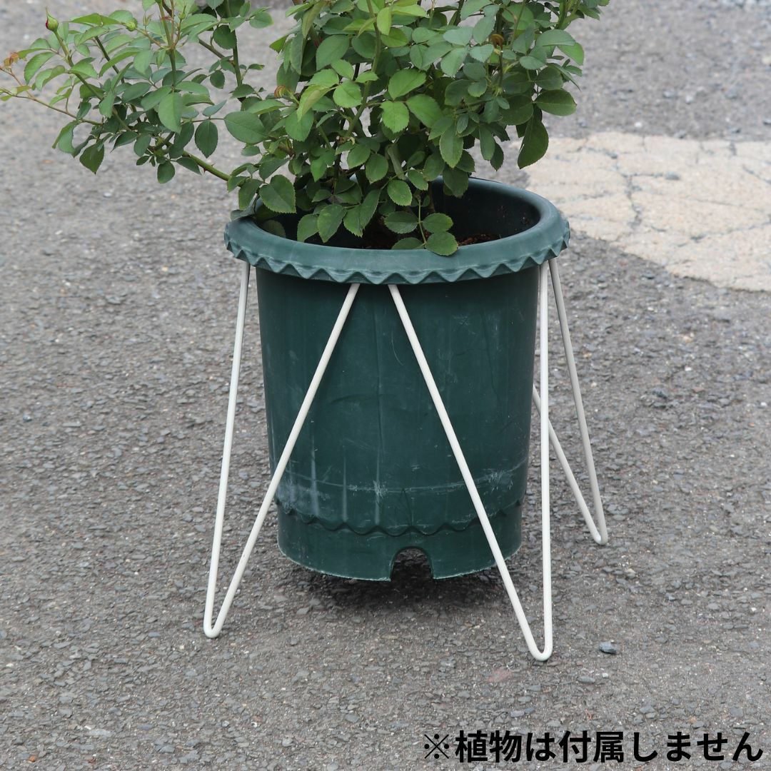 植木鉢 観察できる植木鉢 | イノマタ化学株式会社