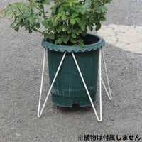  鉢スタンド ベルツモア ジャパン製 10号植木鉢用スタンド SNYMSS-10 ガーデニング 園芸資材