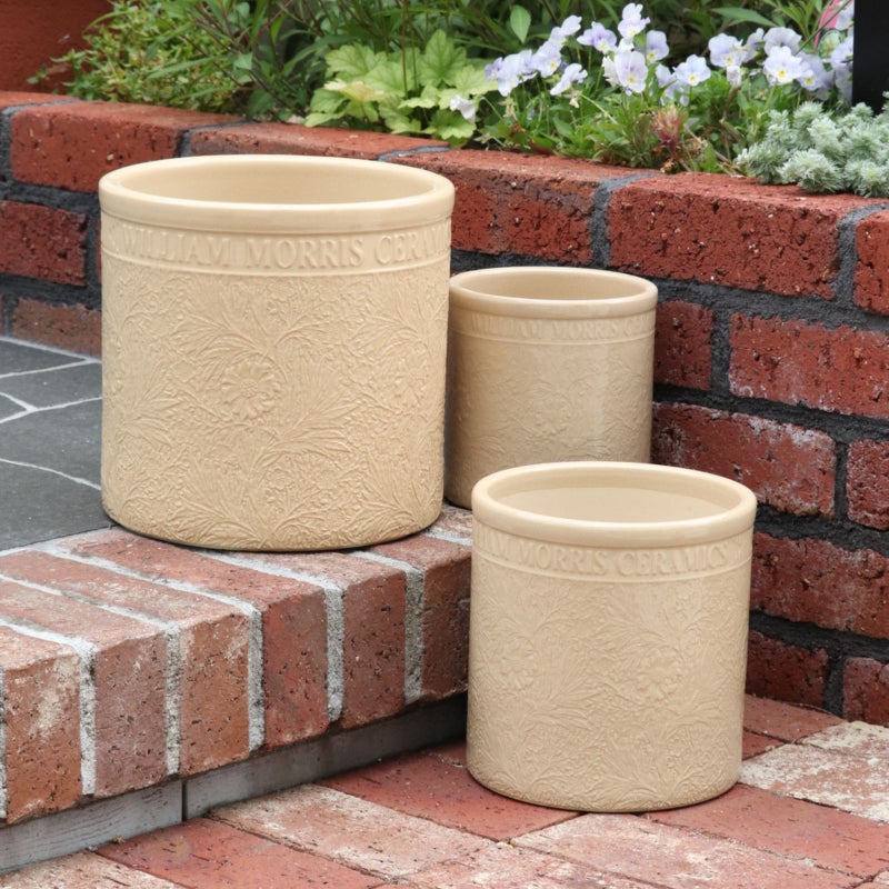 ウィリアムモリス マリーゴールド Mサイズ 直径24cm 陶器鉢 ガーデニング 資材 植木鉢 園芸資材