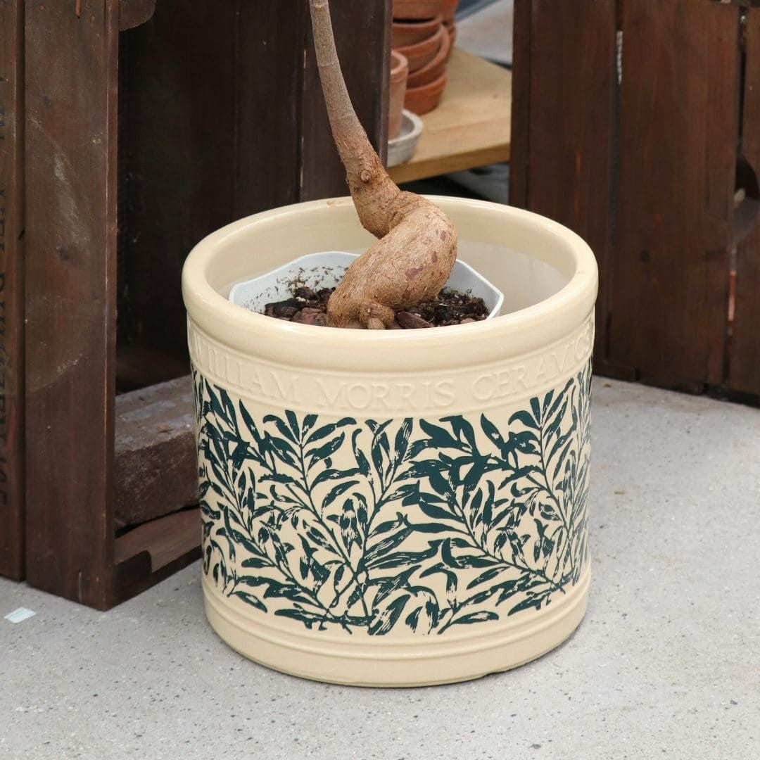 ウィリアムモリス リーフシリンダー24cm 植木鉢 ウィリアムモリスリーフシリンダーMサイズ直径24cm｜バラと庭あそび