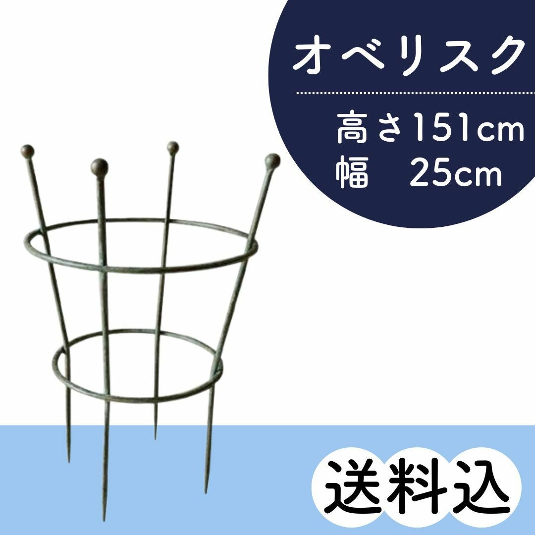 オベリスク85565｜バラと庭あそび京阪園芸公式ショップ