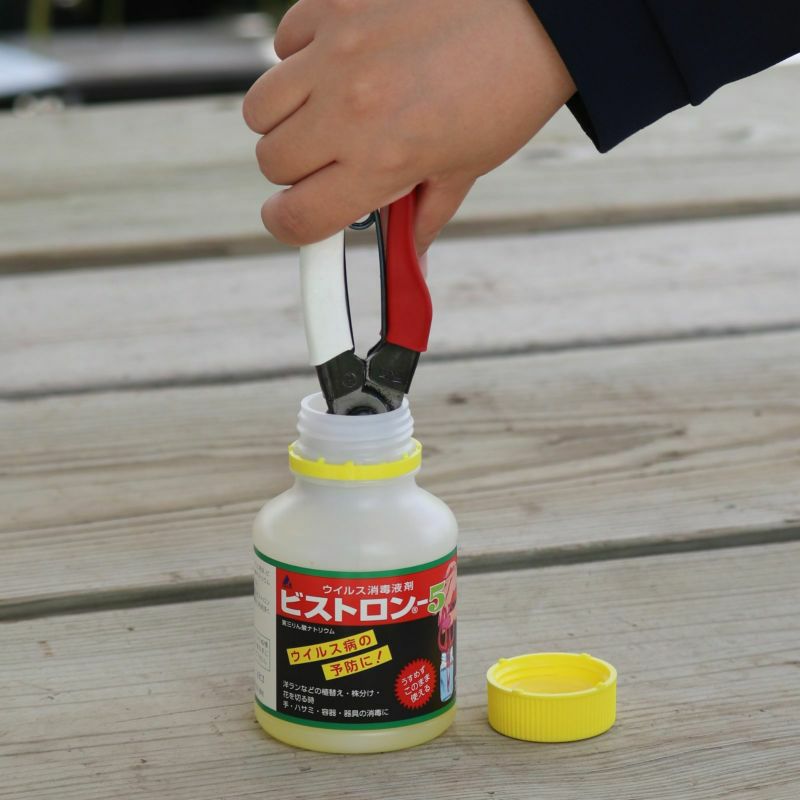 ビストロンを使用している写真