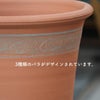 ３種類のオールドローズのモチーフが入ったウィッチフォードの植木鉢の写真