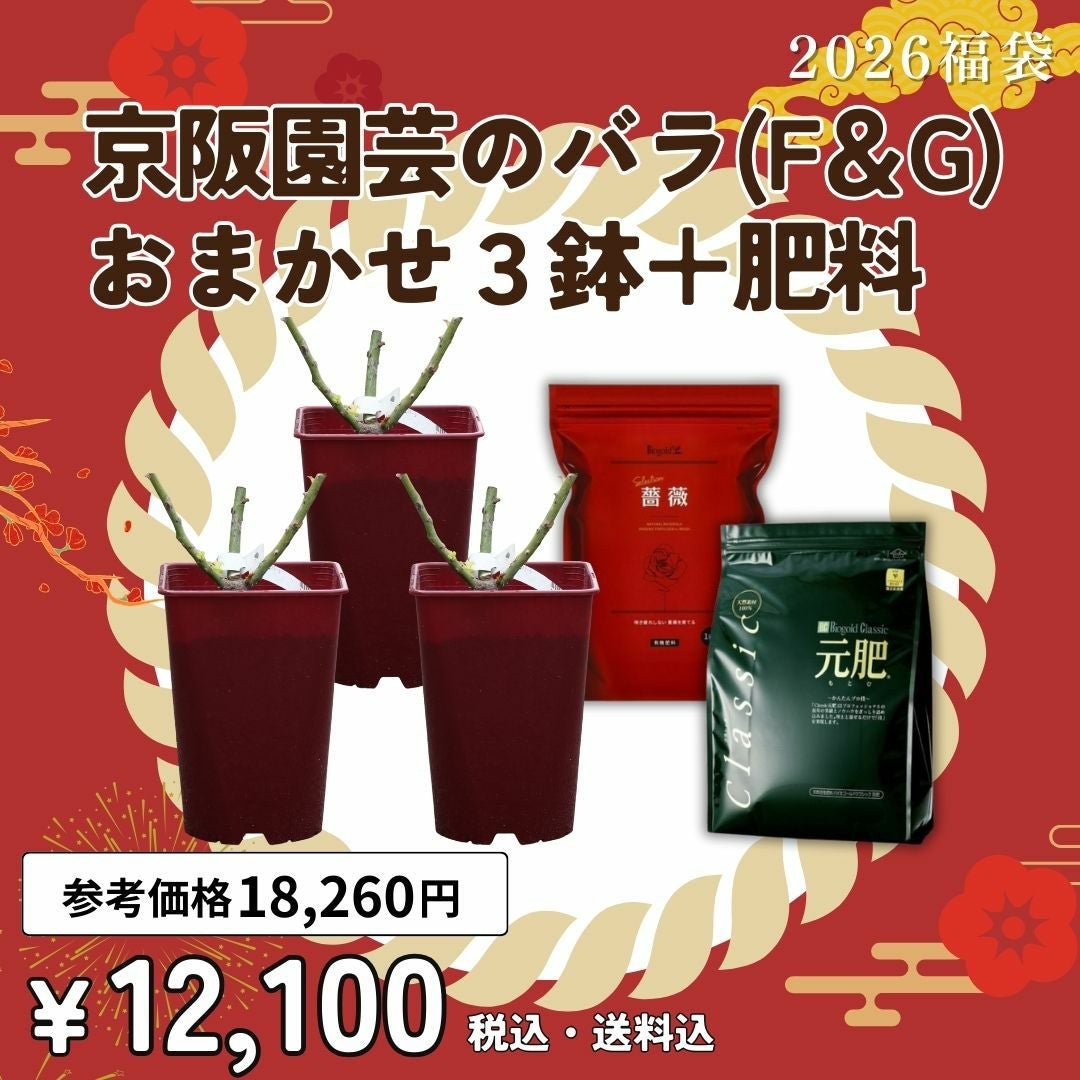 2026年福袋販売のお知らせ ｜バラと庭あそび京阪園芸のお知らせ