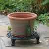 ウィッチフォードの植木鉢の写真