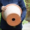 ウィッチフォードの植木鉢の写真