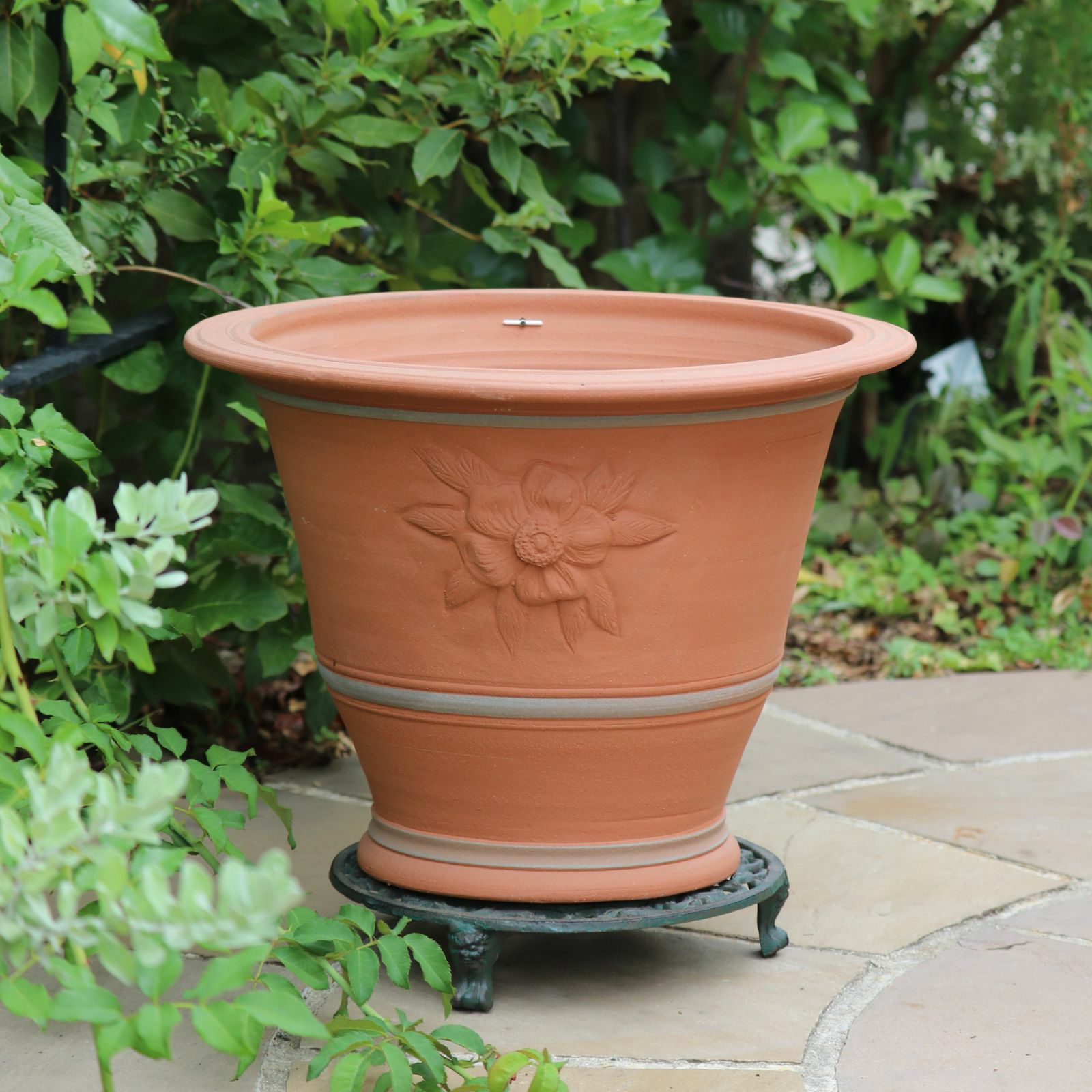 ウィッチフォード964 Hellebore Pot | バラと庭あそび京阪園芸公式