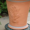 アイリスがあしらわれたウィッチフォードの植木鉢の写真