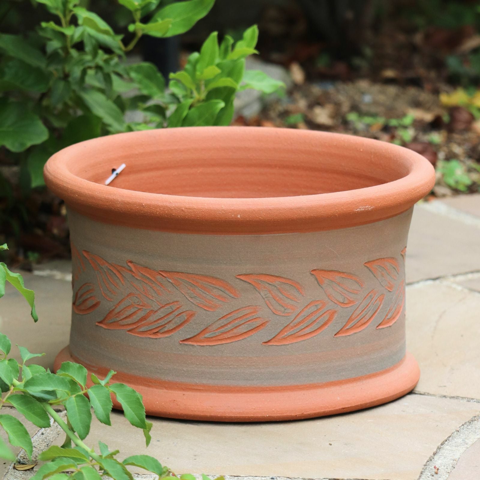 寄せ植え　ウィッチフォード鉢　期間限定込み価格 ウィッチフォード590OliveLeafPlanter | バラと庭あそび京阪園芸公式