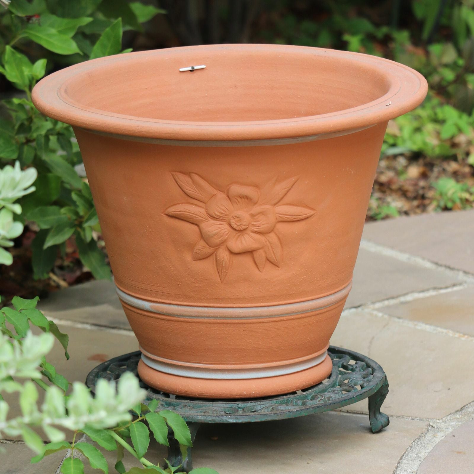 ウィッチフォード962 Hellebore Pot | バラと庭あそび京阪園芸公式