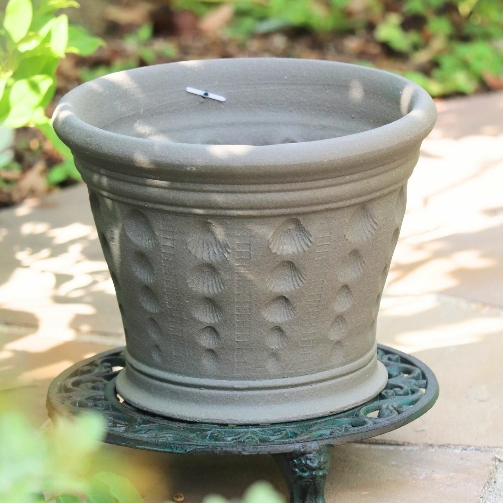 ウィッチフォード 130Gxa Ash CockleshellPot｜バラと庭あそび京阪園芸