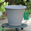 ウィッチフォードの植木鉢の写真