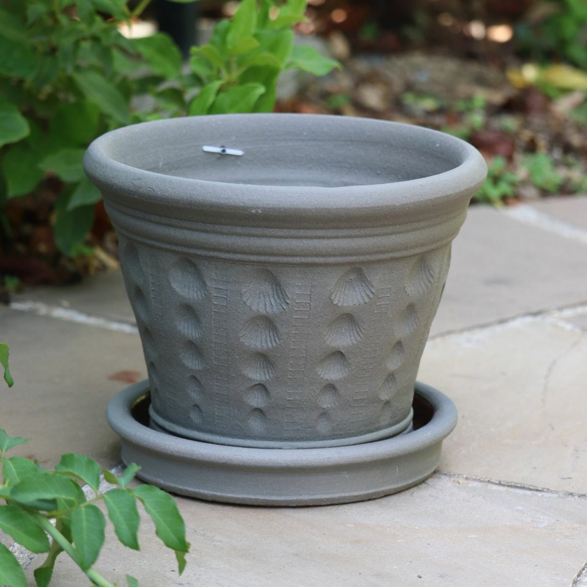 ウィッチフォードの鉢皿の写真