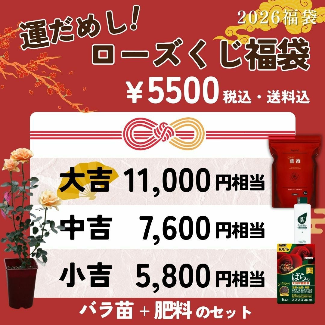 福袋2026[運試し！ローズくじ福袋] バラ苗+肥料のセット&お年玉