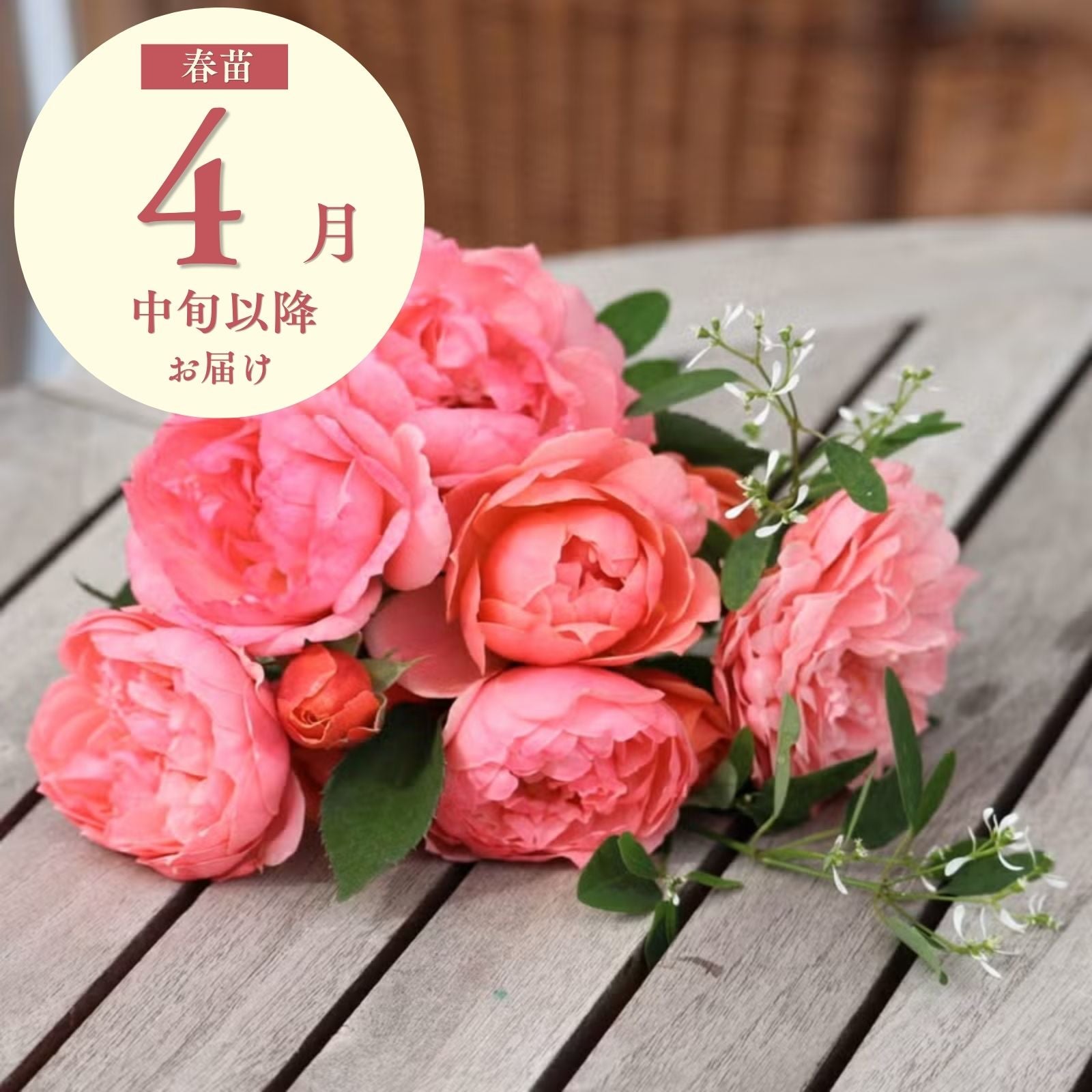 000000007770-12.jpg?size=m&w=