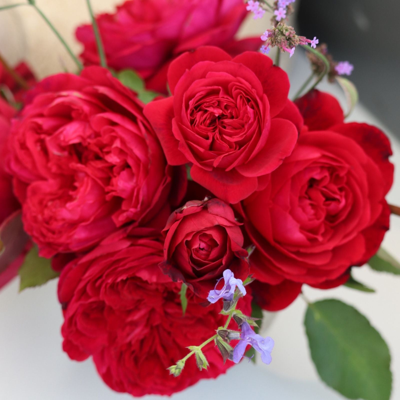 フランボワーズガレット