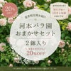 河本バラ園ブランドおまかせセット２鉢入りの商品画像