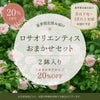 ロサオリエンティスおまかせセット２鉢入りの商品画像