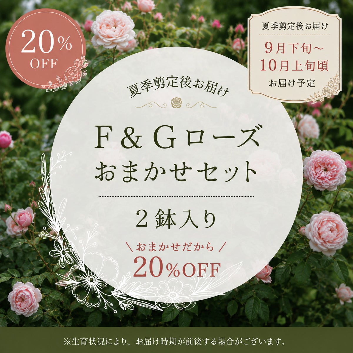 ［F&Gローズ 京阪園芸］おまかせセット２鉢入りの商品画像